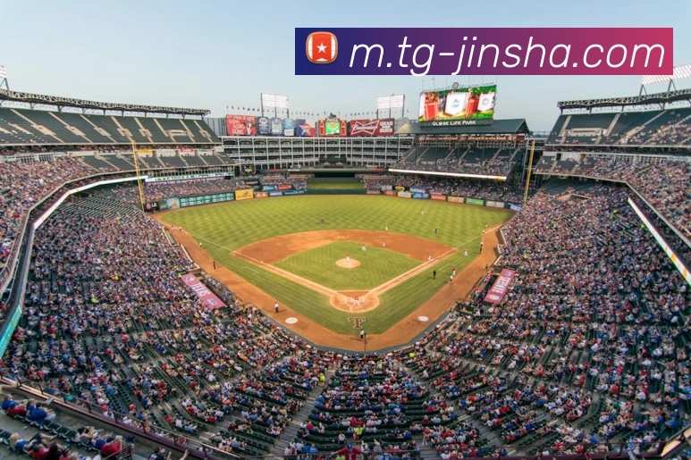 金沙国际平台生态图